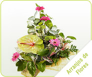 arranjos-flores