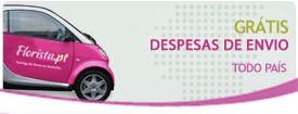 despesas-gratis